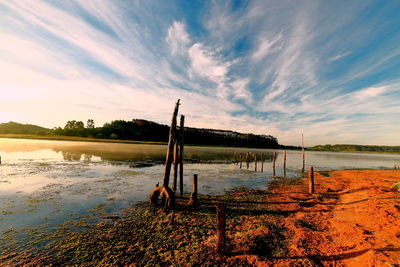 Wooden posts on beach against sky