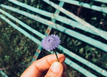 Close-up of hand holding flower