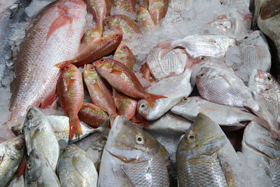 Full frame shot of fish for sale in market