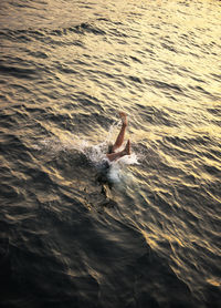 High angle view of boy diving into sea