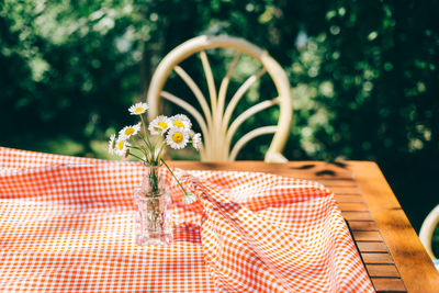 Close-up of potted plant on table