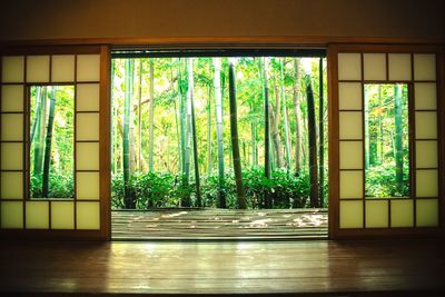 View of curtain