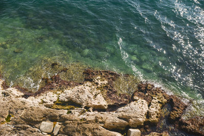 High angle view of rocks at shore