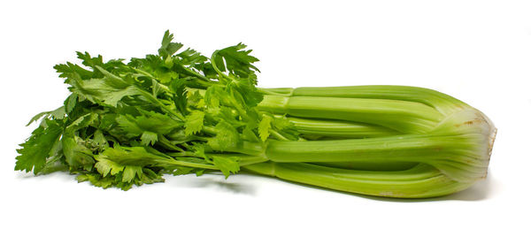 Close-up of vegetable over white background