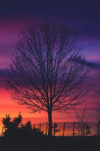 Silhouette bare tree against sky during sunset