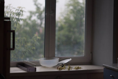 Close-up of tea cup on window sill at home