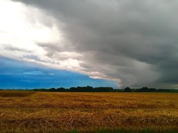 Scenic view of agricultural field against sky