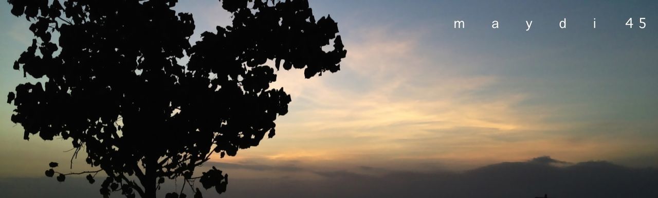 LOW ANGLE VIEW OF SKY AT SUNSET