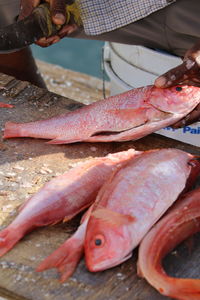 Close-up of fish for sale in market