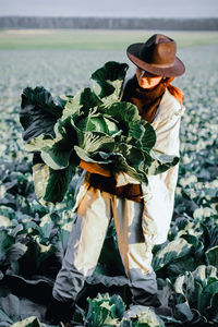 Woman picking cabbage vegetable at field. female farmer working at organic farm. harvesting