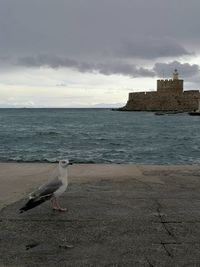 sea