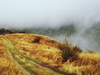 Scenic view of field against sky during foggy weather