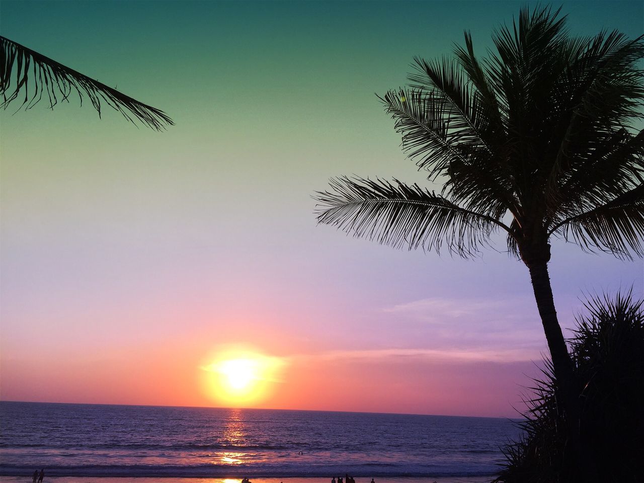 sea, horizon over water, sunset, sun, water, scenics, tranquil scene, tranquility, beauty in nature, beach, silhouette, sky, nature, orange color, idyllic, palm tree, sunlight, shore, tree, clear sky