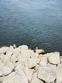 High angle view of rocks in lake