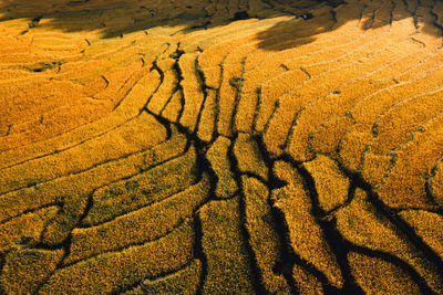 High angle view of shadow on field