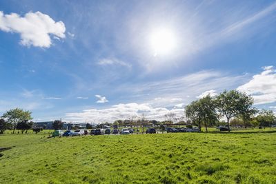 Scenic view of field against sky