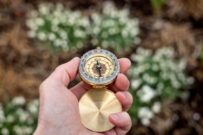 Close-up of hand holding navigational compass on against plants