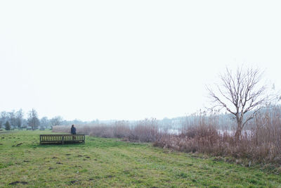 Scenic view of field against clear sky