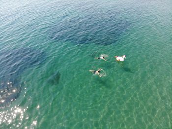 High angle view of people swimming in sea