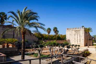 In the alcazar of jerez de la frontera, spain. 