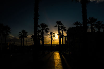 Silhouette palm trees against sky at night