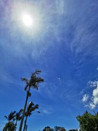 Low angle view of tree against blue sky