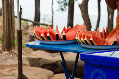 Close-up of watermelon slices in plate on table