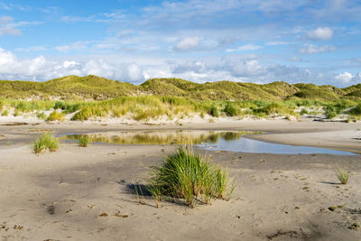 Scenic view of beach against sky