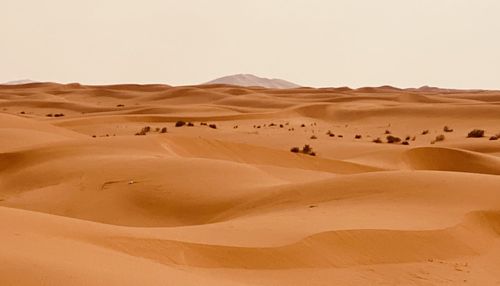 Saudi desert