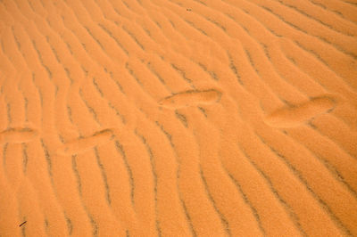 High angle view of footprints at desert