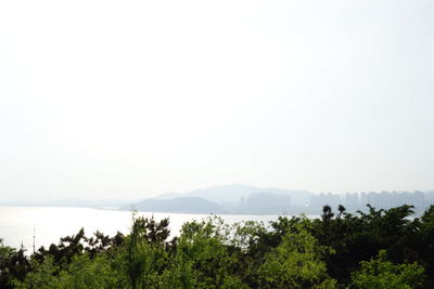 Scenic view of sea against clear sky