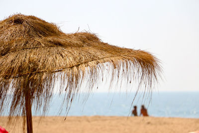 Trees on beach against clear sky