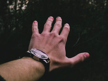 Cropped hand of man reaching trees