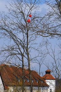 Low angle view of bare tree against sky