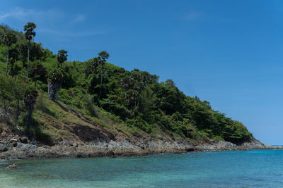 The landscape part of the island full of tropical natual forest in the blue ocean clear sky