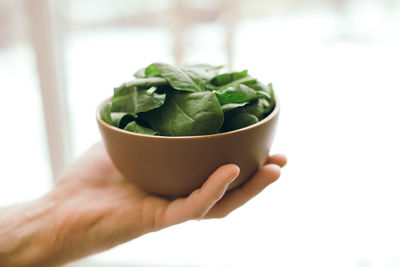 Close-up of hand holding bowl