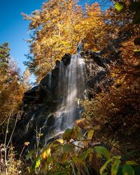 Low angle view of waterfall in forest during autumn