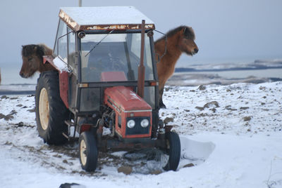Horse cart on snow against sky
