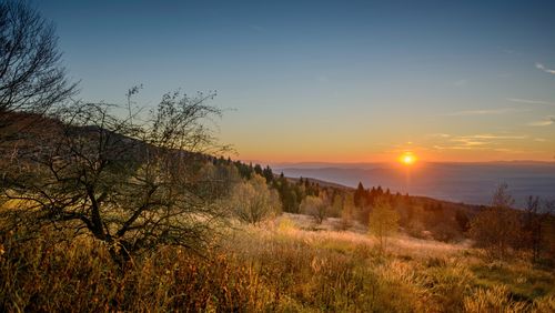 Scenic view of field against sky during sunset