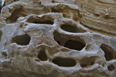 Close-up of human skull