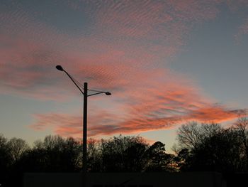 Silhouette of trees at sunset