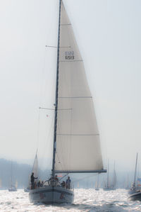 Sailboat sailing on sea against clear sky