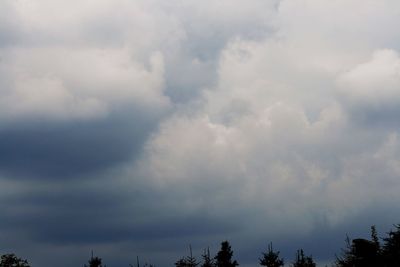 Low angle view of trees against cloudy sky