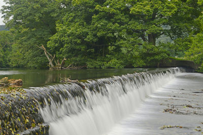 Scenic view of waterfall by trees