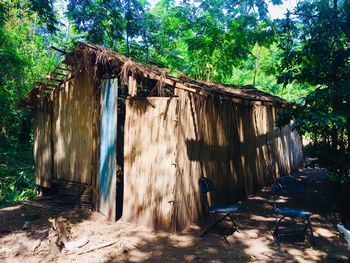 View of abandoned house in forest