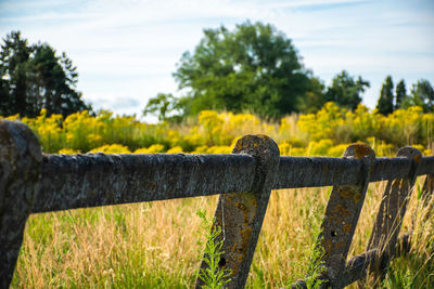 Close-up of rusty metal fence on field against sky