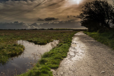 Scenic view of field against sky