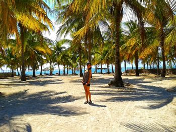 Man walking on palm trees on beach