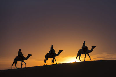 The three holy kings riding on camels into the night