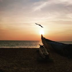 View of bird on beach  during sunset, daring to fly in the gulp of night